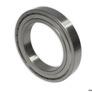 ldi-6020-ZZ-deep-groove-ball-bearing-(new)