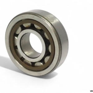 skf-NJ-304-ECP-cylindrical-roller-bearing-(new)-carton