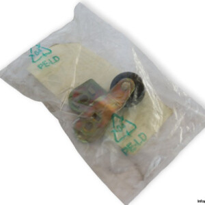 Pizzato VF L31 Limit Switch Roller Lever