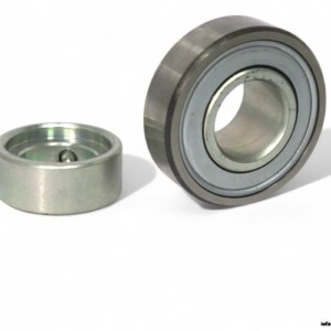 ina-RAE20-XL-NPP-FA106-radial-insert-ball-bearing-(new)-carton