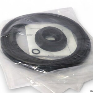GEA 221-304.15 Seal SET