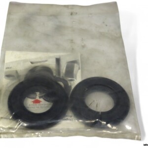 fag-DH-507-sealing-ring-new
