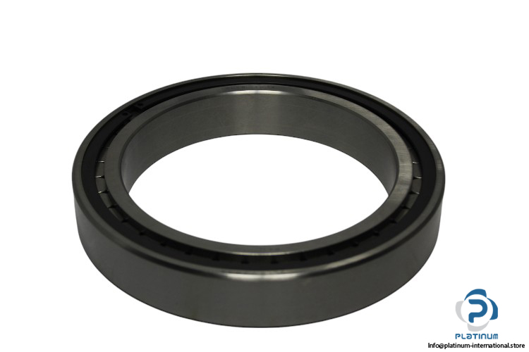 SL18-2934-cylindrical-roller-bearing-new