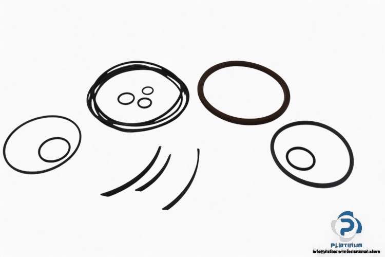 pentair-sudmo-019113200900000000-seal-kit-(New)