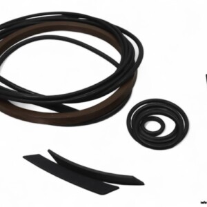 Pentair Sudmo 0019156700800000000 Seal KIT