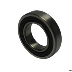 R20-2RS-deep-groove-ball-bearing-new