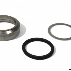 Burgmann 201009172 Seal KIT