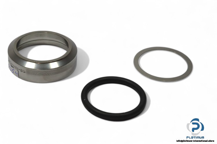 burgmann-201009172-seal-kit-(New)