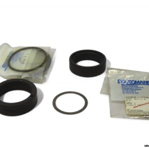 Burgmann 201009172 Seal KIT