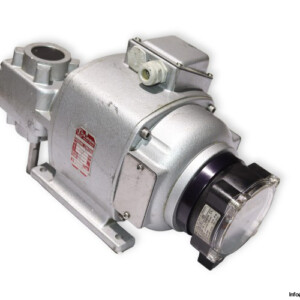 R.vassal SCU66V12 Gear Motor