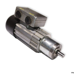 Dunkermotoren DR62.0X80-2 Gear Motor 230 V