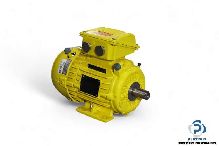 weg-L90S-02-3-phase-electric-motor(new)