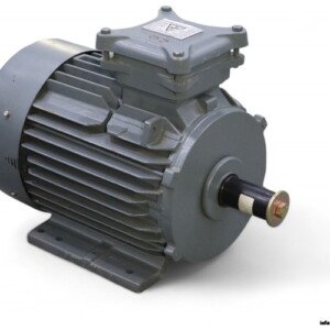 Leroy Somer FLSN132S T 3-PHASE Electric Motor