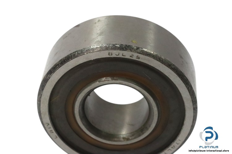 riv-BJL-25-self-aligning-ball-bearing-new-carton-1