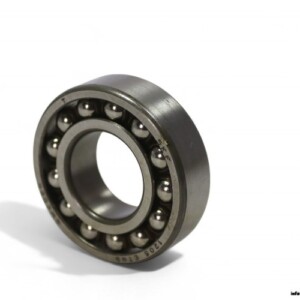 SKF 1205 ETN9 Self-Aligning Ball Bearing