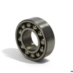 SKF 2206 ETN9 Self-Aligning Ball Bearing