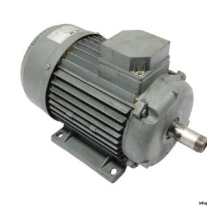 Wolf Mtdw 100 LA 3-PHASE Electric Motor