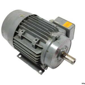 Wolf UD100LA 3-PHASE Electric Motor