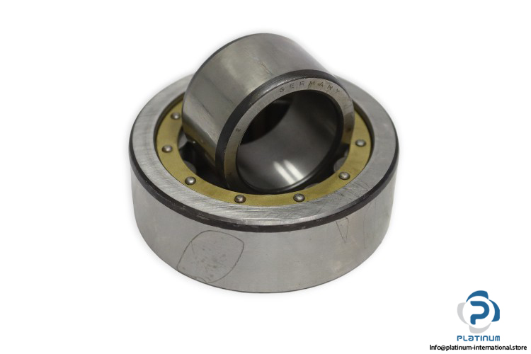 skf-611596_C4-cylindrical-roller-bearing-new-carton