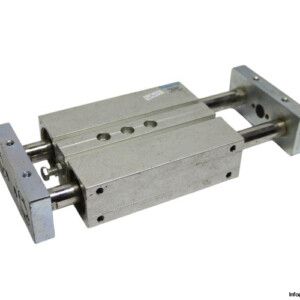 festo-159972-twin-cylinder-(Used)