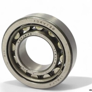 RIV 3DAV/30 Single ROW Cylindrical Roller Bearing