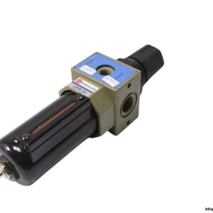 Riegler UFR 04 Filter Regulator