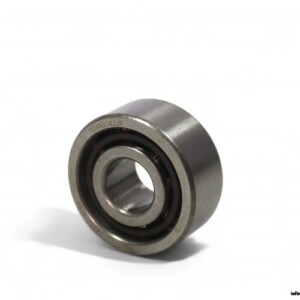 ISB 4201 ATN9 Double ROW Deep Groove Ball Bearing