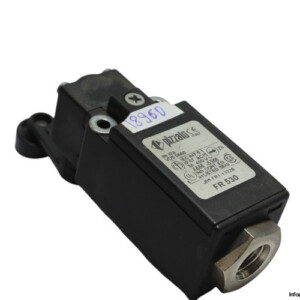 Pizzato FR 530 Position Switch With Roller Lever