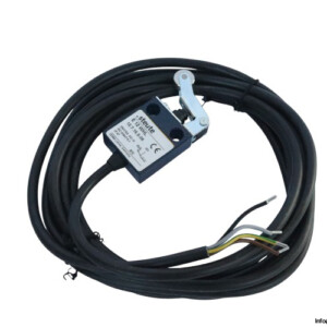 Steute E 12 WHL Position Switch