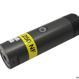 Netter Vibration NTS 250 NF Pneumatic Linear Vibrator