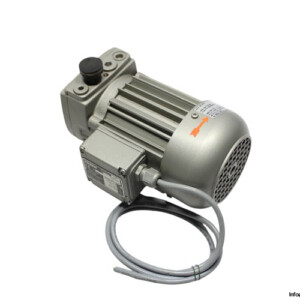 Fezer VT 4.4 Vacuum Pump