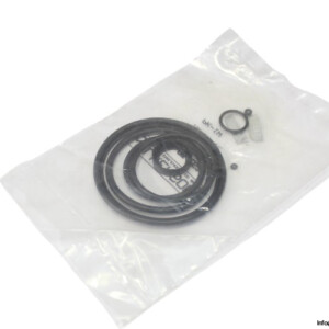 Wilkerson GRP-95-262 O-Ring KIT