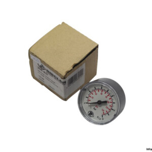 Riegler 206-KD Pressure Gauge