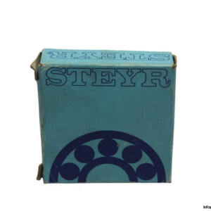 steyr-NUP-304-E_TGP-cylindrical-roller-bearing-new-carton