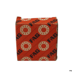 fag-RNU-204E.TVP2-cylindrical-roller-bearing-new-carton
