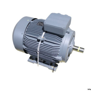 Mecaline 3EG225M2C-PD-BA-C34 3-PHASE Electric Motor