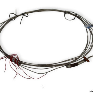 Te.ma. 1.TE.5508A-TT Temperature Sensor