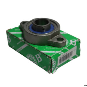 ISB UFL004SS Oval Bearing Unit