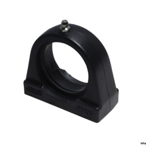 LDI PA 205 Tapped Base Pillow Block