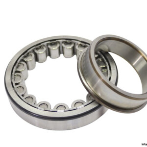 skf-NJ-220-ECJ_C3-cylindrical-roller-bearing-new