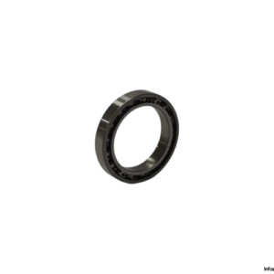 Elges 61806 Deep Groove Ball Bearing
