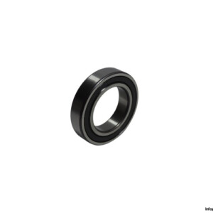 FAG 6009 2RSR Deep Groove Ball Bearing
