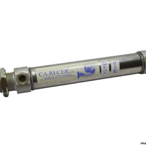 Ca.ri.cer.srl 25X100 Pneumatic Round Cylinder