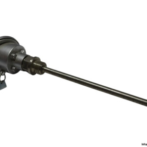 Guenther 75-WTH ZP01036022019/30 Resistance Thermometer
