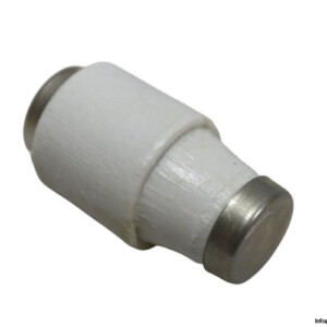 CPT 80-500 Fuse
