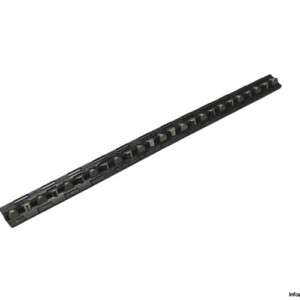 Schneeberger AC6 Roller Cage