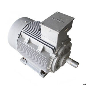 Siemens 1LA6 313-8AB70Z 315M 3 Phase Electric Motor