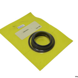 509981-seal-kit-(new)