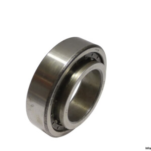 riv-9DAAV_Q-cylindrical-roller-bearing-used