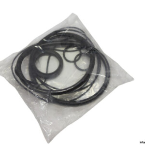 Lincoln-84791-cylinder-tube-kit(new)